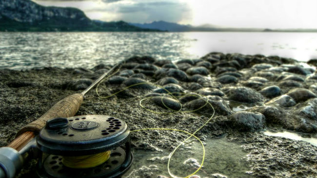 Когда отмечается День Рыбака – история даты, факты и идеи подарков